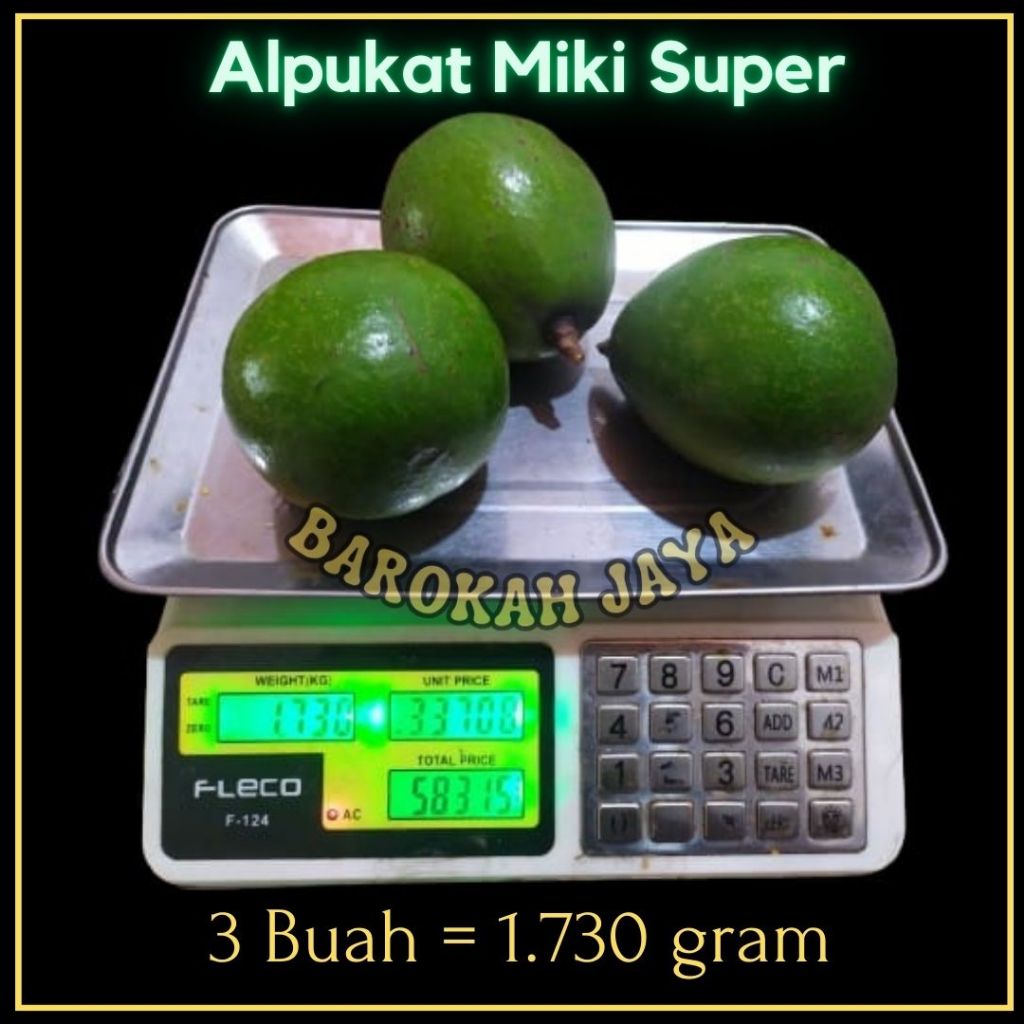 

Buah Alpukat Miki Super 1 kg 2-3 Buah Bergaransi