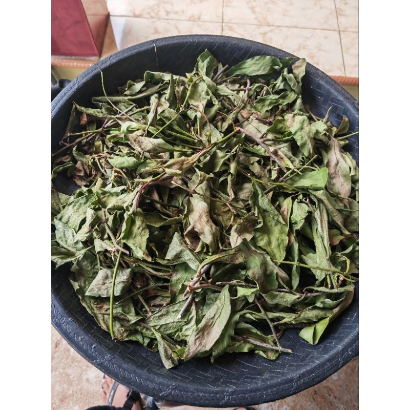 

benalu jeruk nipis kering 500 gram