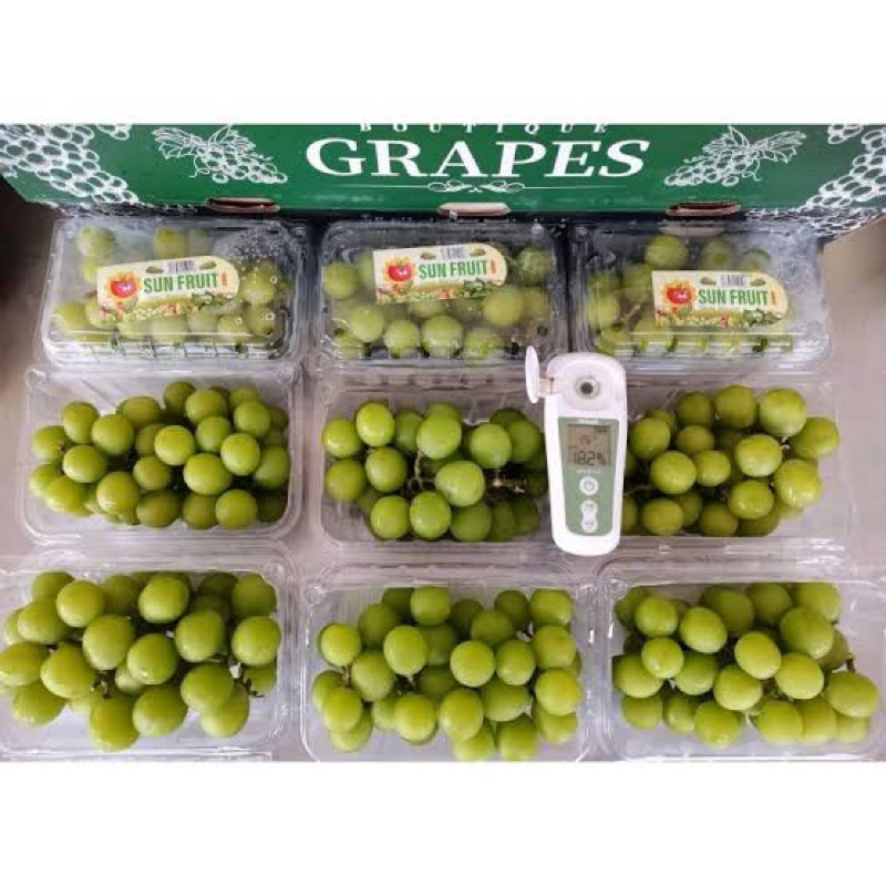 

ANGGUR SHINE MUSCAT ANGGUR HIJAU MUSCAT 1 DUS