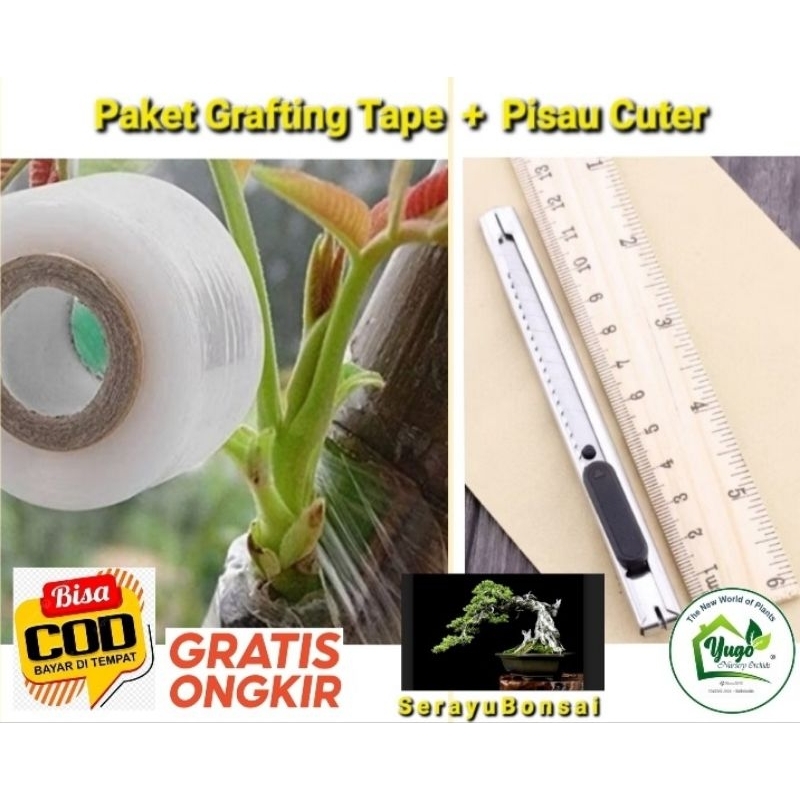 Paket Grafting Tape + pisau Cuter super tajam