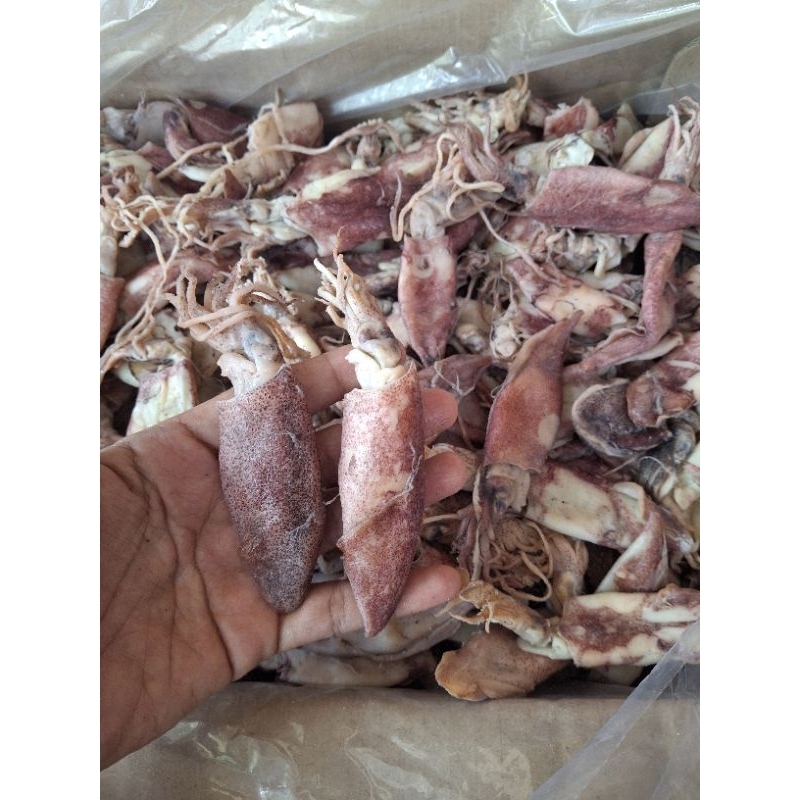 

cumi cop asin/ cumi tanggung semi basah premium 1kg
