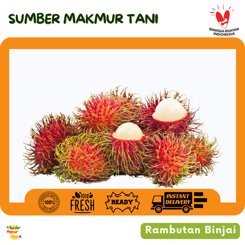 

[KIRIM INSTAN] Rambutan Binjai 500 gr / 1 kg Segar Manis – Buah Pilihan Berkualitas dari Petani Lokal | Sumber Makmur Tani