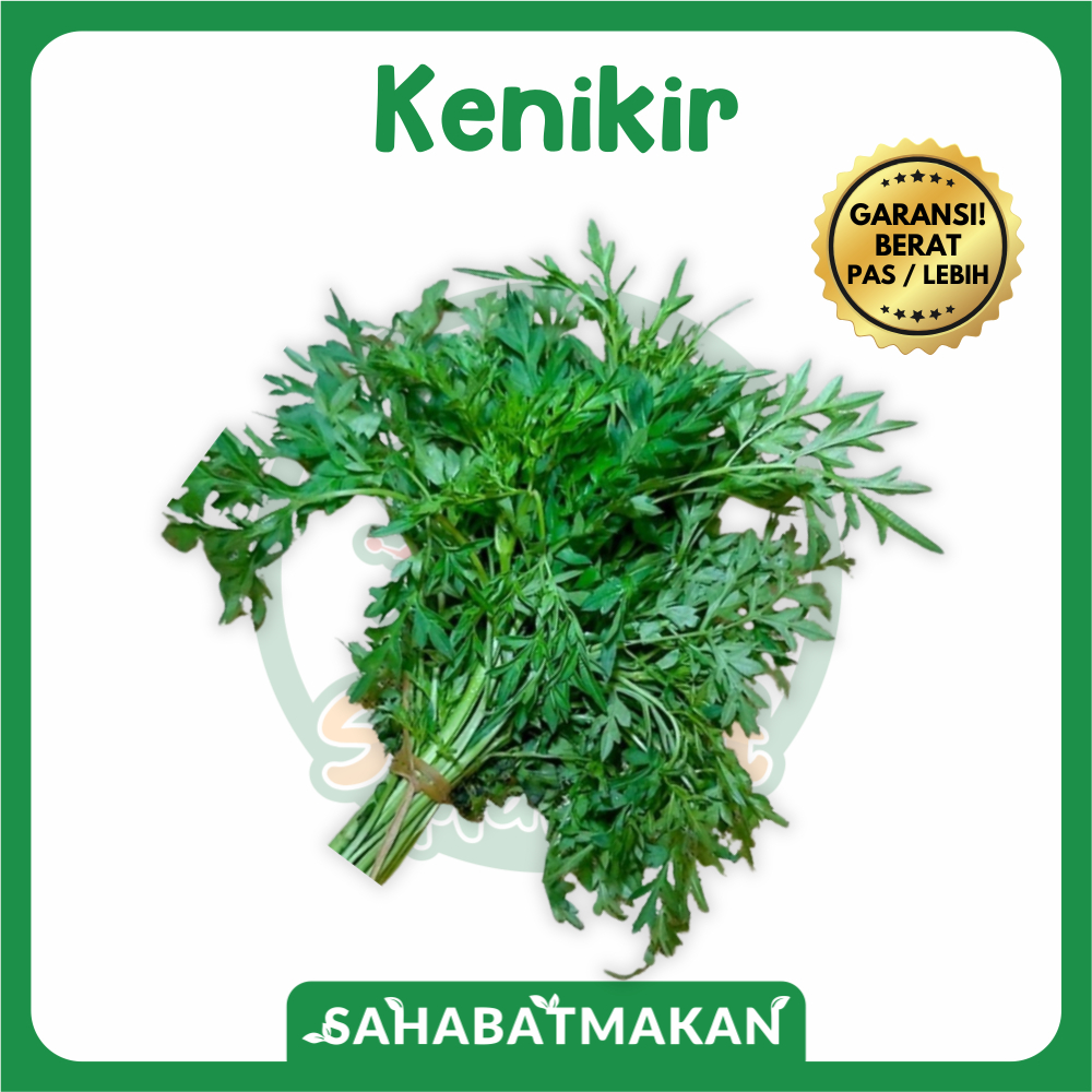 

pre order Daun Kenikir — Sahabat Makan Sayur Jogja