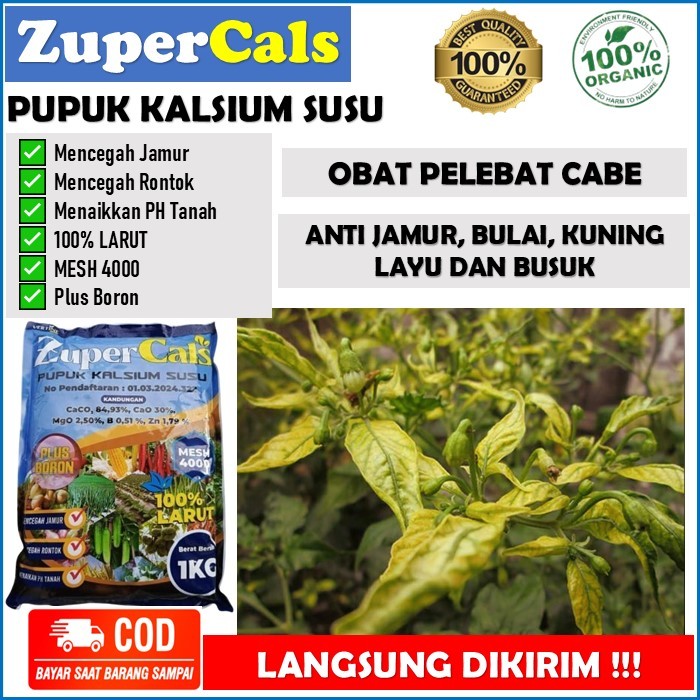 ZuperCals Pupuk Kalsium Plus Boron obat pelebat cabe anti kuning kriting, busuk, rontok, layu dan ja