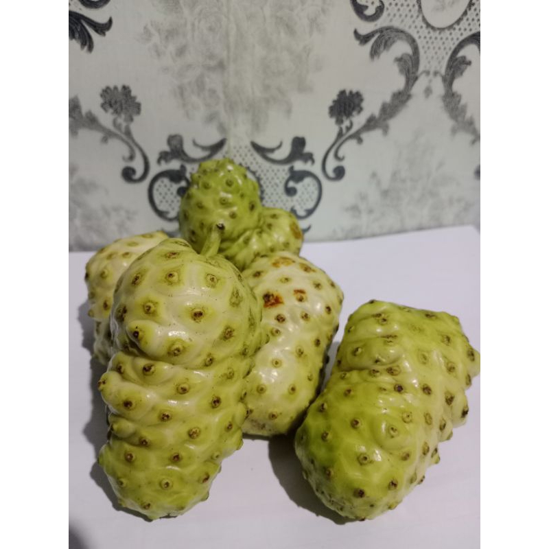 

Buah Mengkudu Segar - Kualitas Premium, Bergizi Tinggi