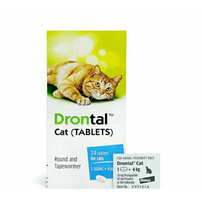 OBAT CACING DRONTAL CAT ORIGINAL ASLI MURAH 1 TABLET