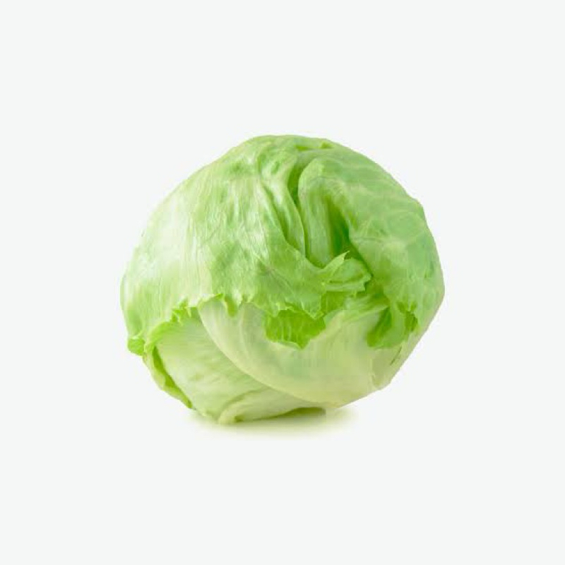 

Lettuce Head 350gr - 500 gr (ready tp lagi mahal)