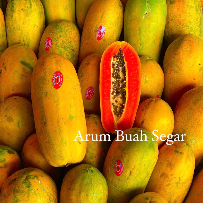 

PROMO Pepaya Manis California Fresh 1pcs