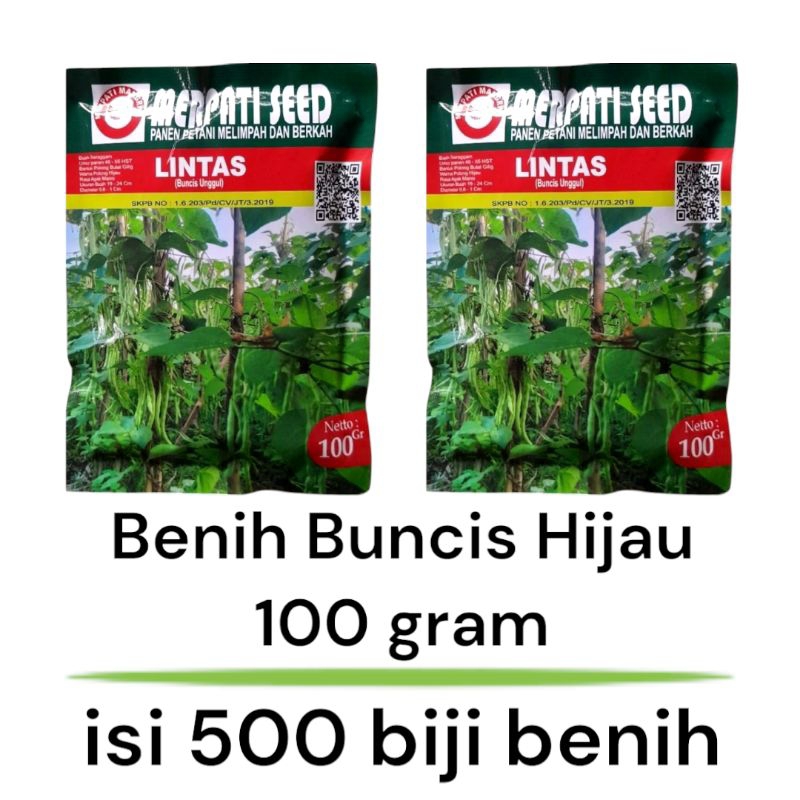 

Benih Buncis hijau unggul LINTAS 100 gram isi -+500 biji