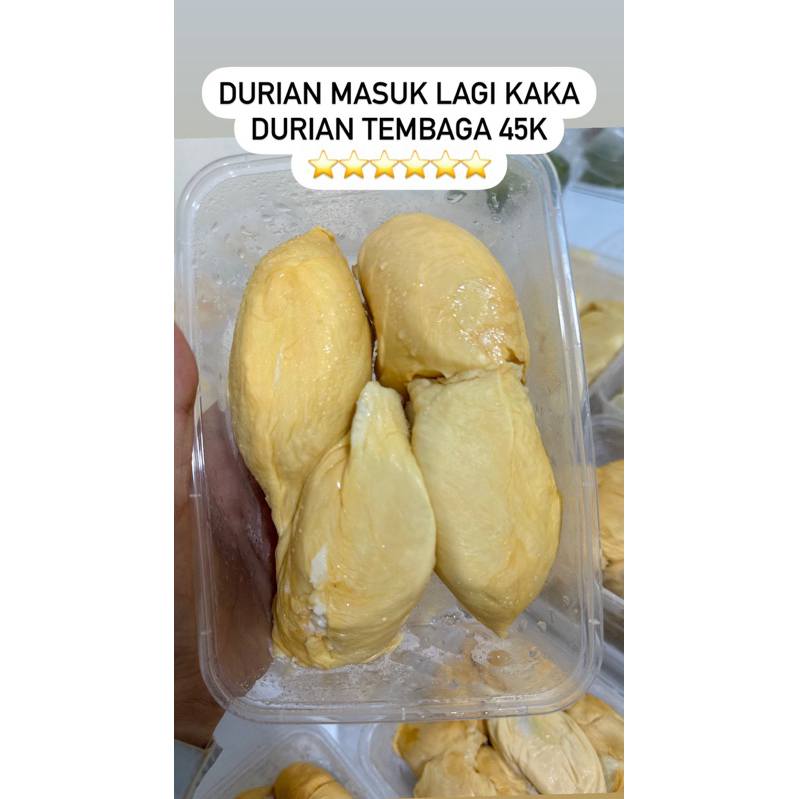 

durian tembaga mantap