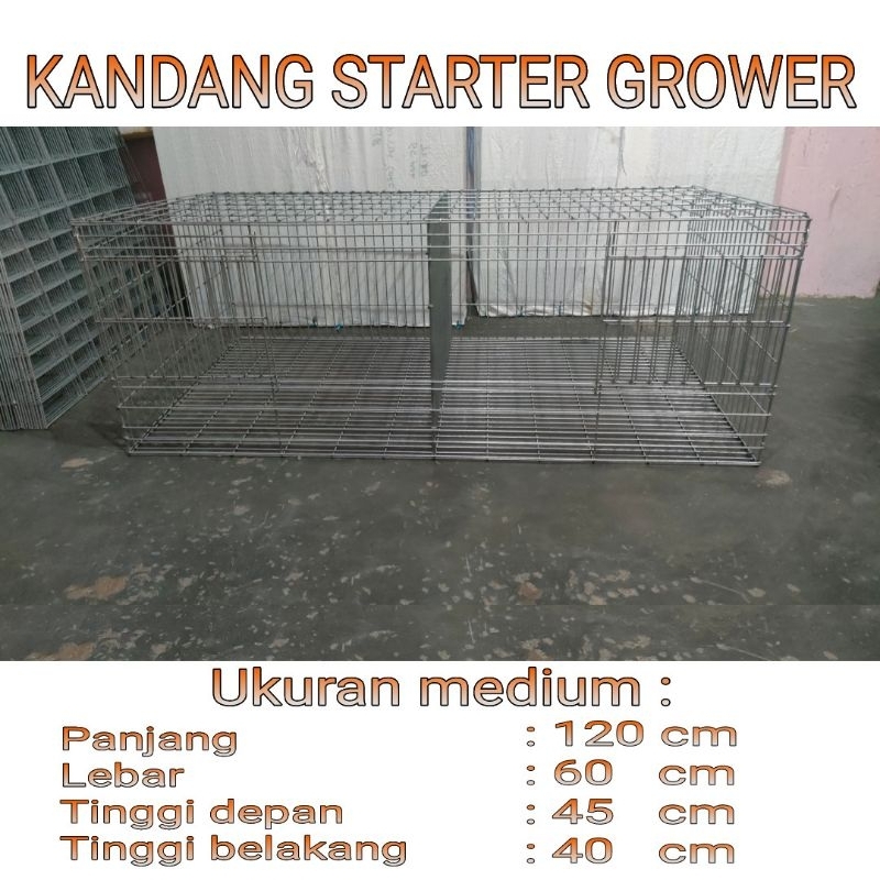 KANDANG BOX GALVANIS DOC PULET STARTER GROWER