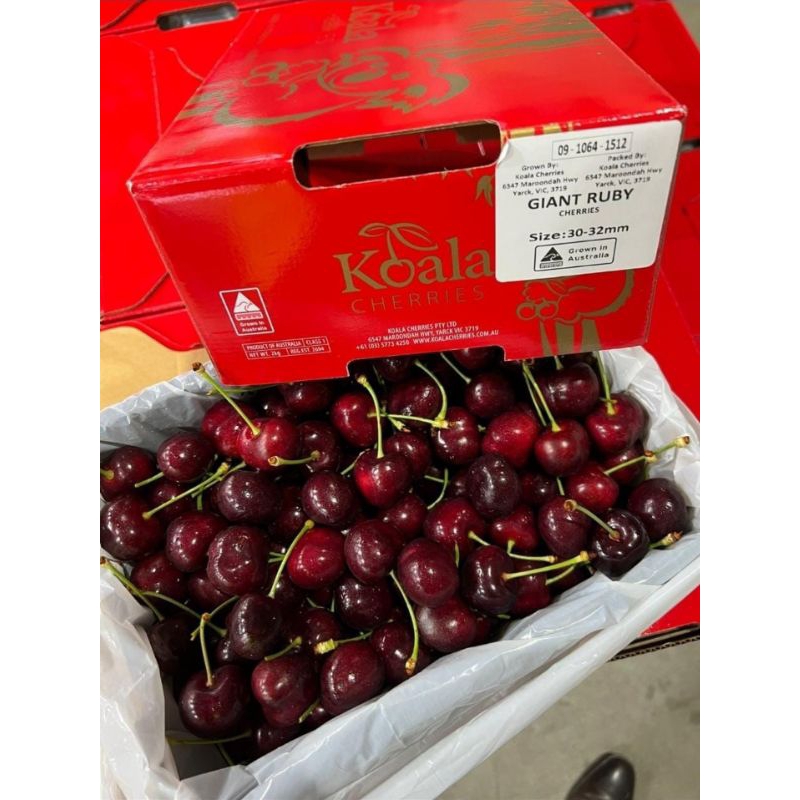 

Cherry Ausy jumbo