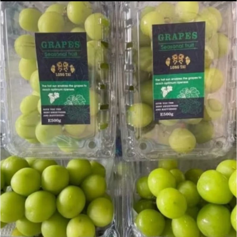 

ANGGUR HIJAU SHINE MUSCAT 500gr/ ANGGUR IMPORT/ ANGGUR SHINE MUSCAT/ ANGGUR HIJAU