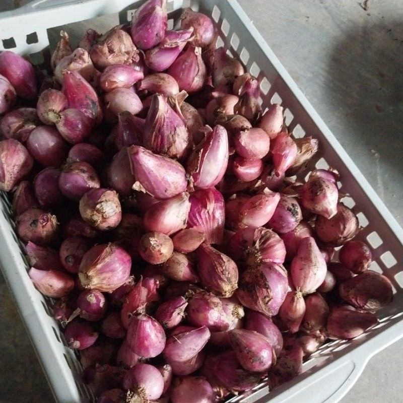 

Bawang merah 1kg