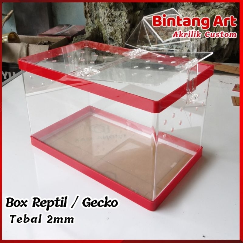 Box reptil / kandang hewan / kandang gecko