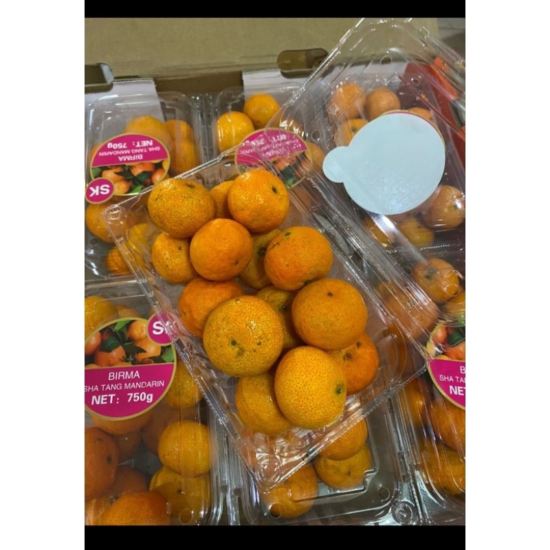 

SANTANG MINI. JERUK SANTANG. KECIL. FRESH. KULIT TIPIS. MUSIMAN
