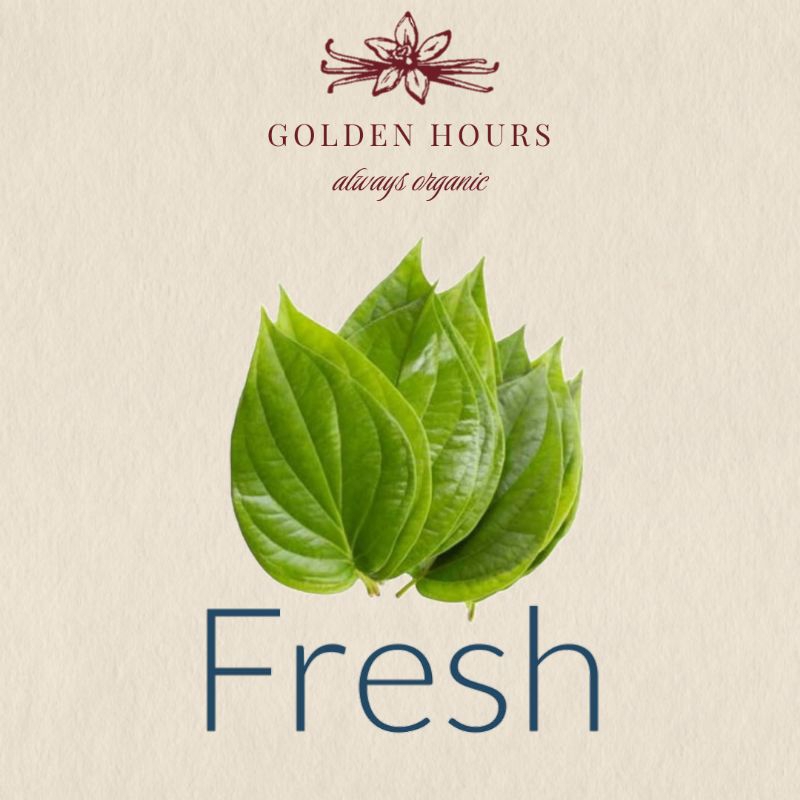 

fresh daun sirih