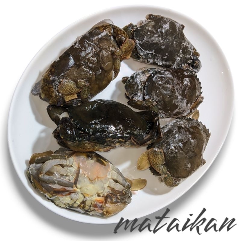 

Kepiting Hijau Bakau Soka Soft Shell Crab Molting Premium Piting Ijo Cangkang Lunak Sokak