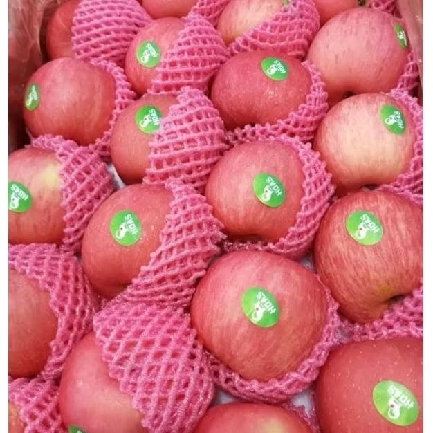 

APEL FUJI PER DUS