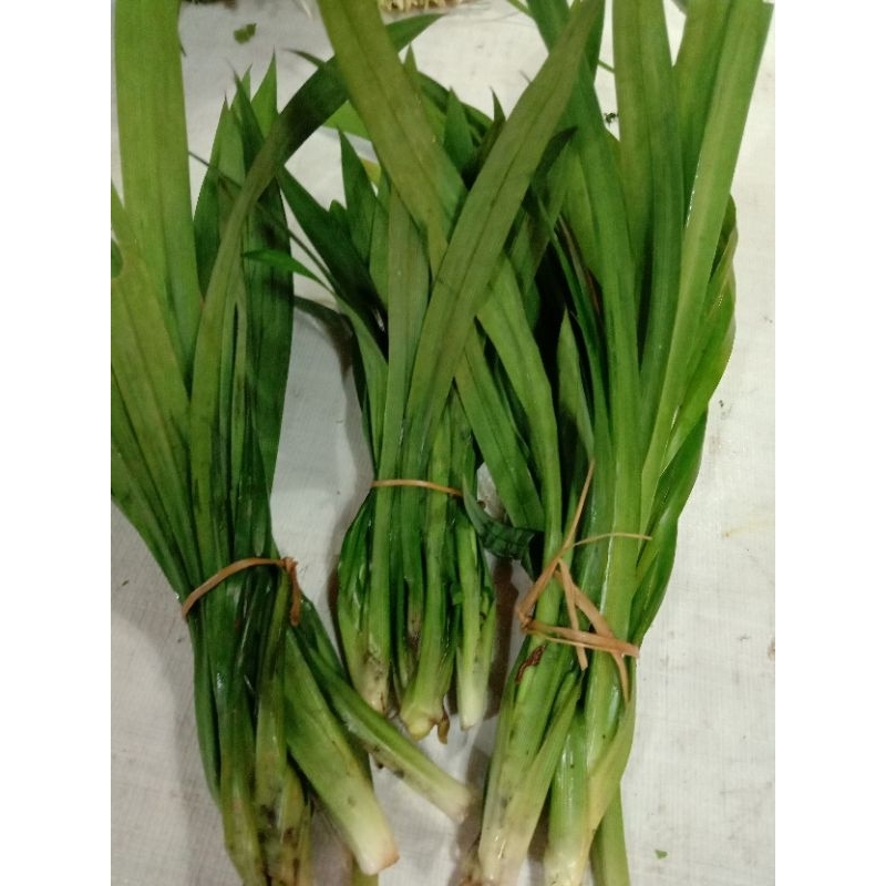 

daun pandan 1kg 15,000