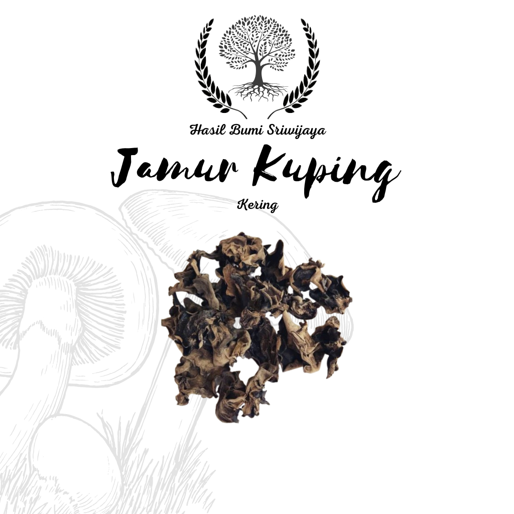 

Jamur Kuping Kering [Daun Besar / Dried Black Fungus] 1 KG - 5 KG