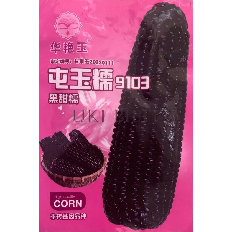 ( 1 Pack ) Benih Jagung Hitam  Original | Jagung Ketan Hitam | Jagung Pulut Ketan Hitam