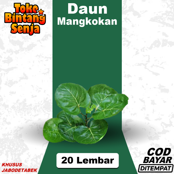 

Daun Mangkokan Per 20 Lembar Petik Dadakan Seupan Lalapan Rebus