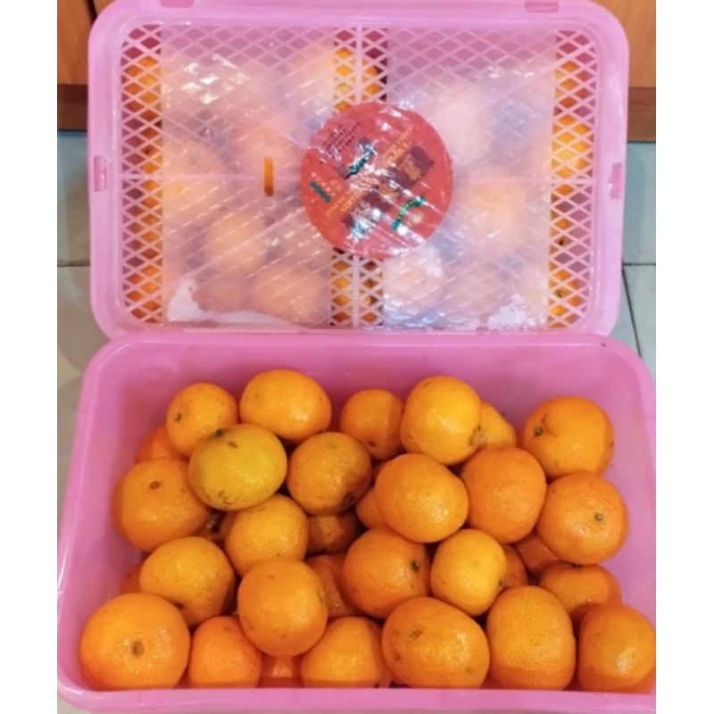 

Hampers Imlek Jeruk Shatang Box Kecil 1.8Kg / Gift Box /Parcel Imlek / CNY