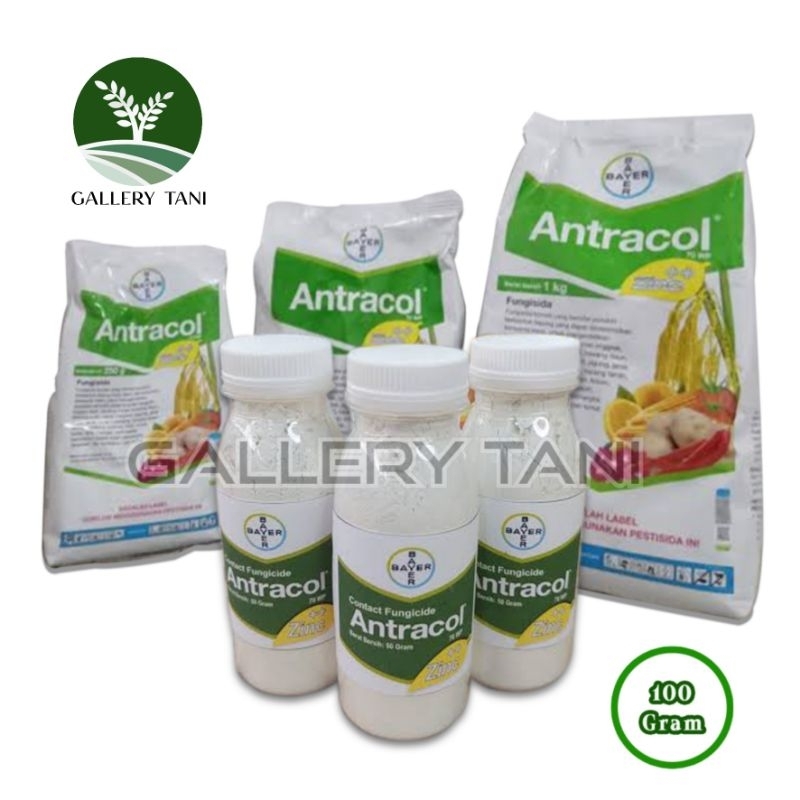 ANTRACOL ZINC FUNGISIDA 70 WP 100 Gram