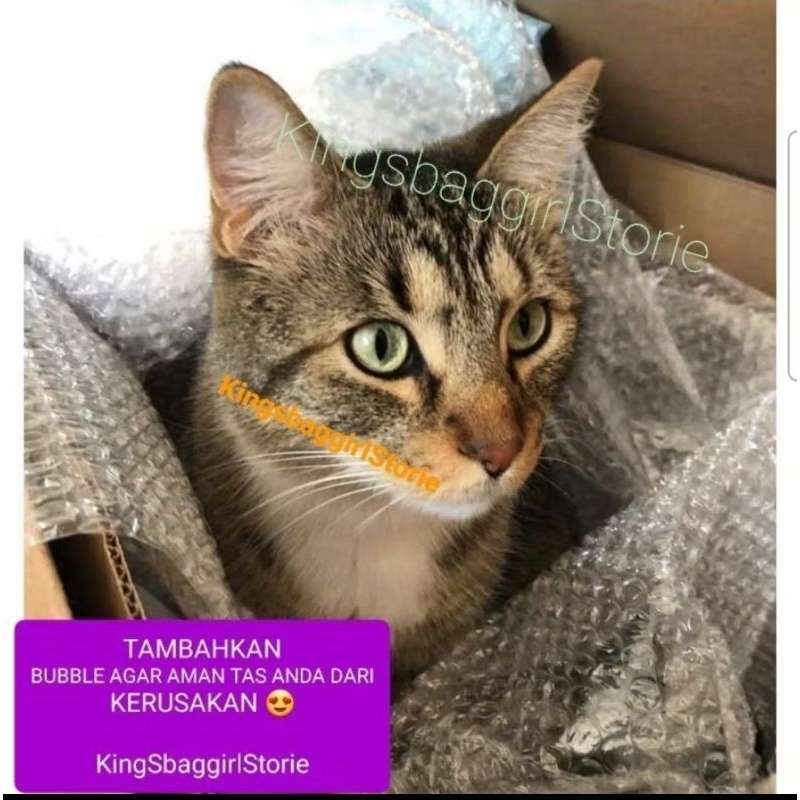 

BUBBLE TAMBAHKAN UNTUK PACKING BUBBLE WRAP AGAR TAS AMAN DARI RESIKO RUSAK LECEK RIJECK AKIBAT PENGIRIMAN