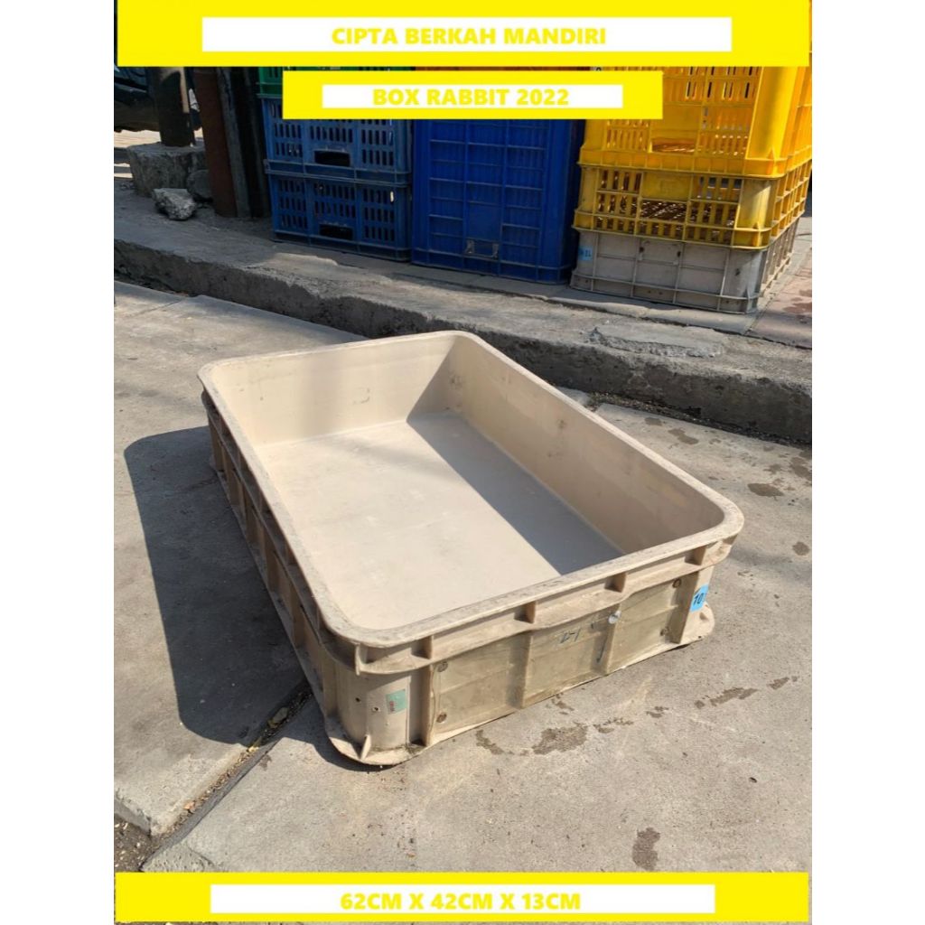 Bak Container Plastik Bak Magot Bak Ikan / Bak kura kura / Box 2022