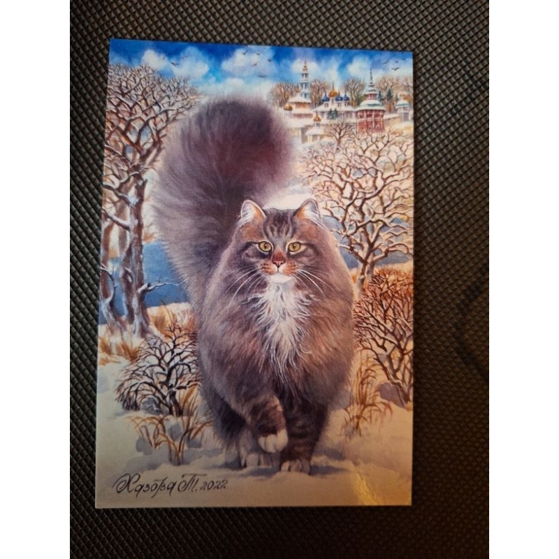 

kartu pos kucing/cat postcard