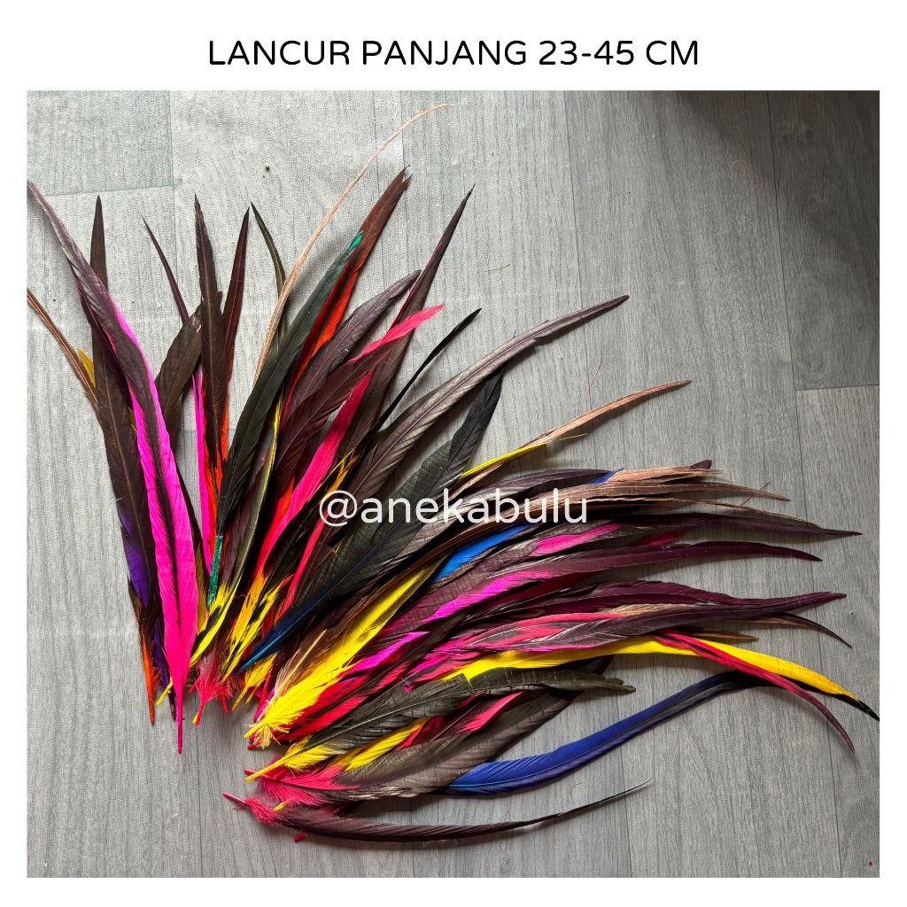 BULU AYAM LANCUR JAGO HALUS WARNA WARNI PANJANG - BULU AYAM GRADASI POLOS BANGKOK MURAH - JUAL BAHAN