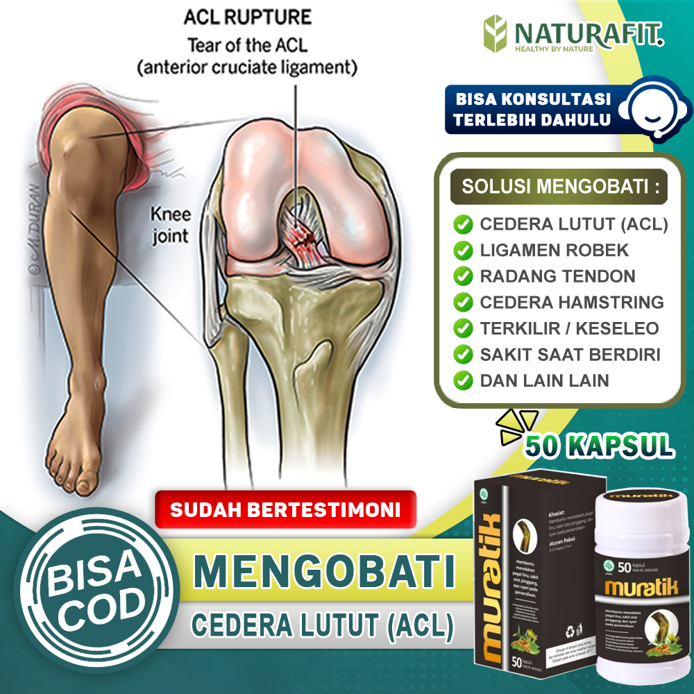 Obat Cedera Lutut ACL Ligamen Robek Cedera Otot Pelumas Sendi Lutut Cedera ACL Radang Tendon Achille