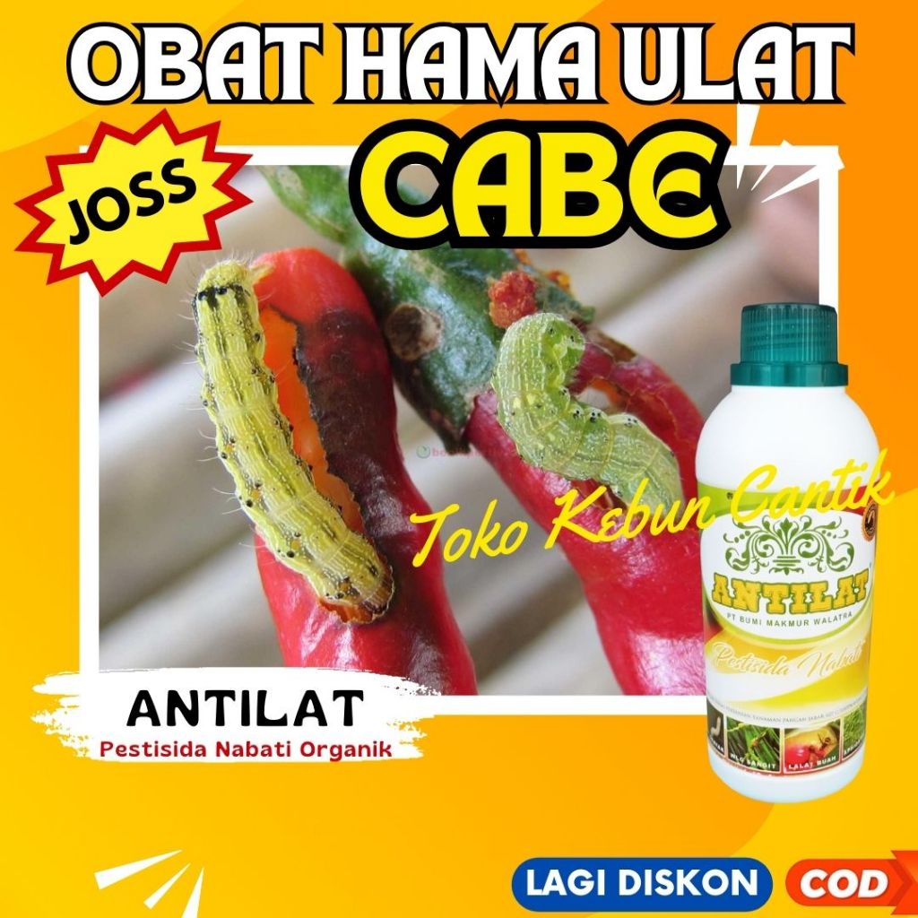 Obat Hama Ulat ANTILAT 500ML – Pestisida Organik untuk Mengatasi Ulat Daun, Ulat Buah, Ulat Tanah pa