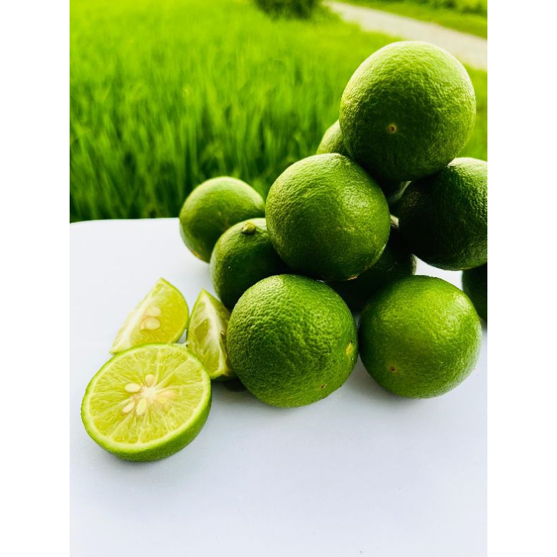 

Jeruk nipis 500gram segar |dipetik saat mau dikemas|