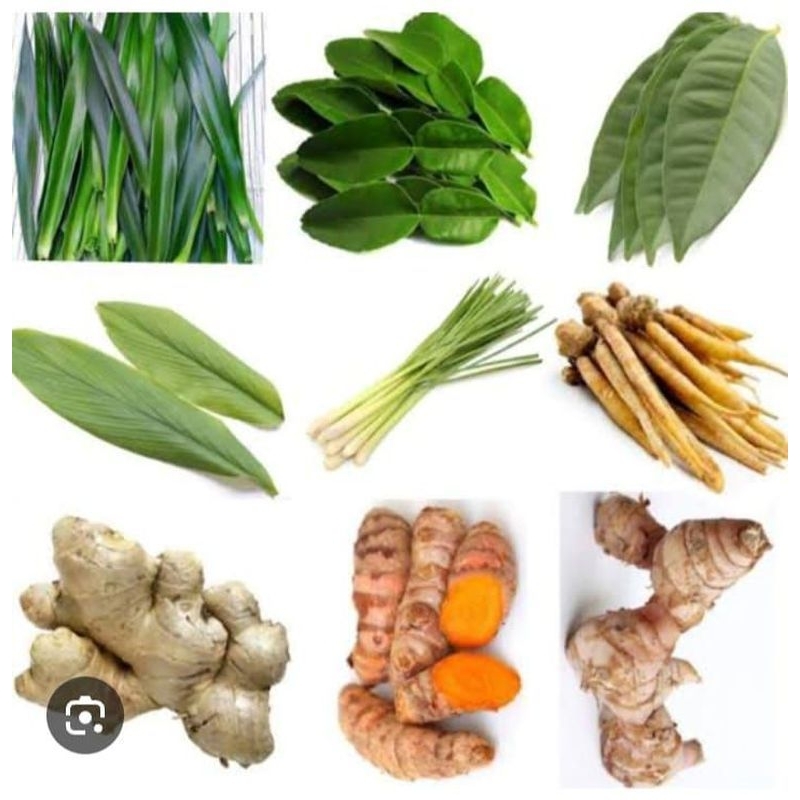 

Daun salam / Daun jeruk / sereh / Jahe / Lengkuas / kunyit
