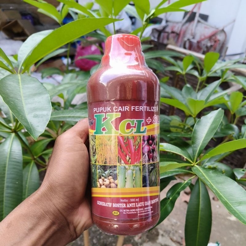 Pupuk Cair Fertilizer KCL Cair 500ml Pupuk Pembuahan