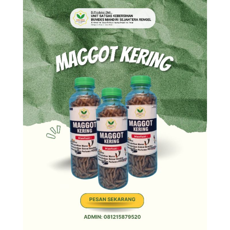 Maggot Kering BSF Grade A