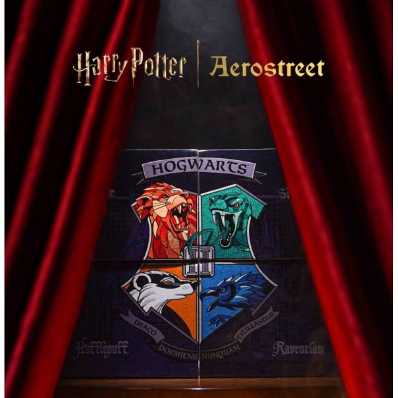Aerostreet X Harry Potter Slytherin/Ravenclaw/Hufflepuff/Gryffindor/Voldemort/Dumbledore Limited Edi