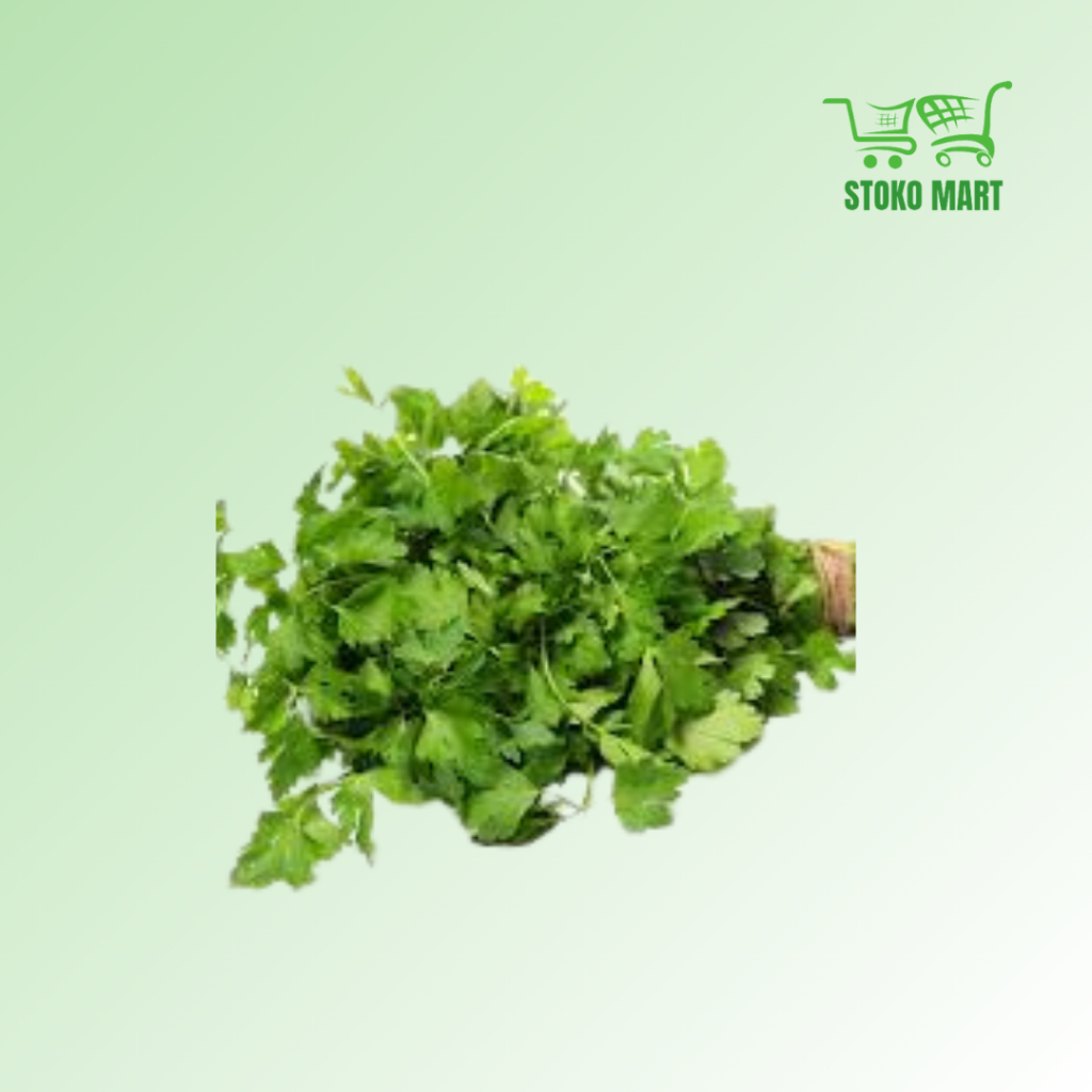 

Daun Seledri