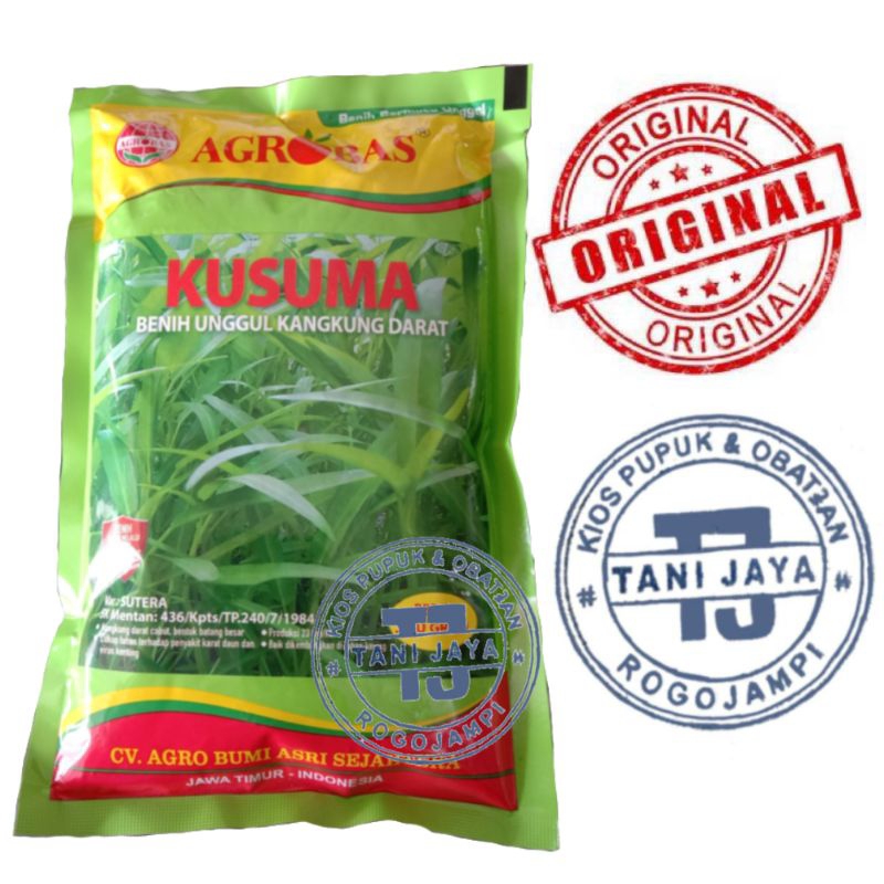 BENIH KANGKUNG KUSUMA 500GRAM