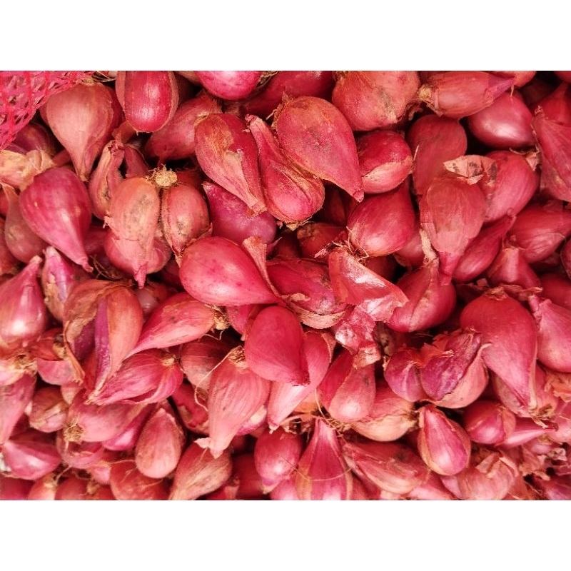 

Promo Termurah 1 Kg Bawang Merah Brebes Sedeng