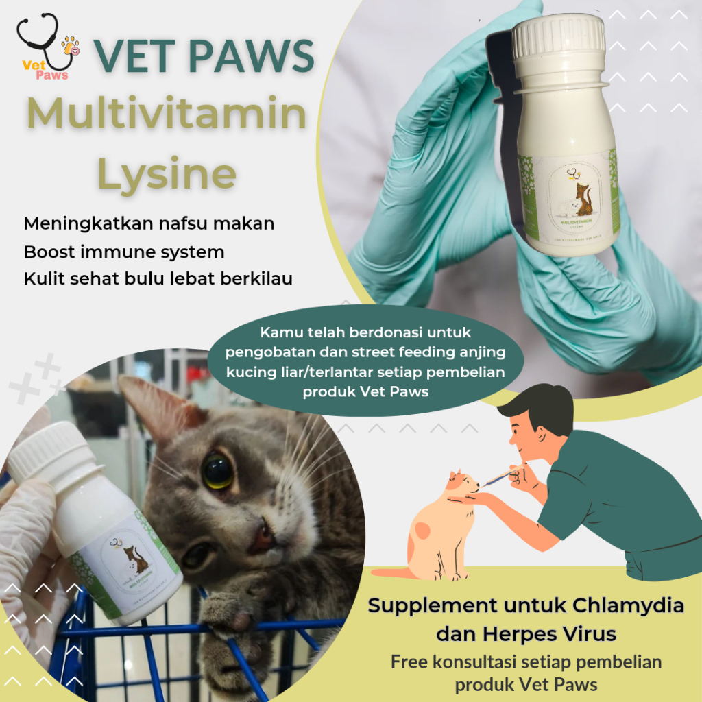 Vitamin Kucing Lysine dan Multivitamin Supplement Herpes Chlamydia Vet Paws Indonesia