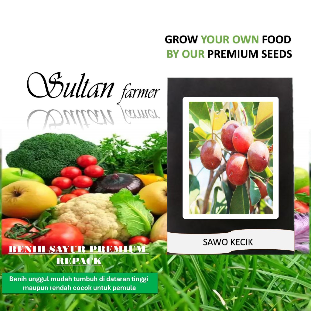 10 Benih / Bibit buah biji sawo kecik