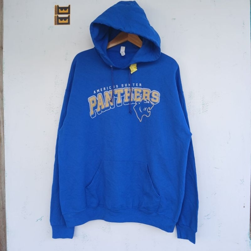 Hoodie Vintange Jerzees Panther
