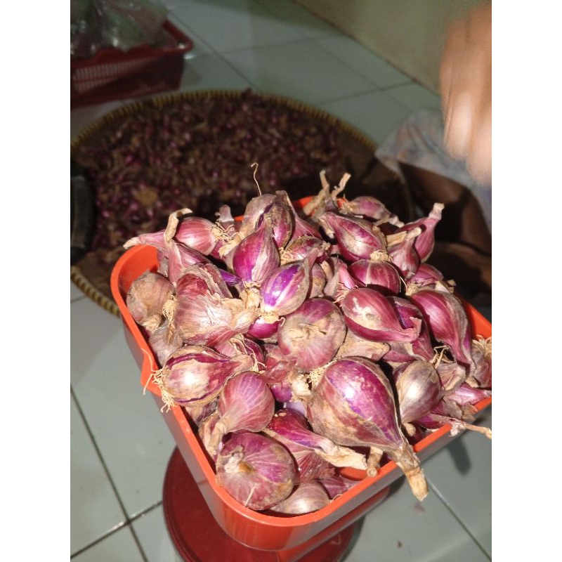 

Bawang merah 100 gram hasil tani warga lokal