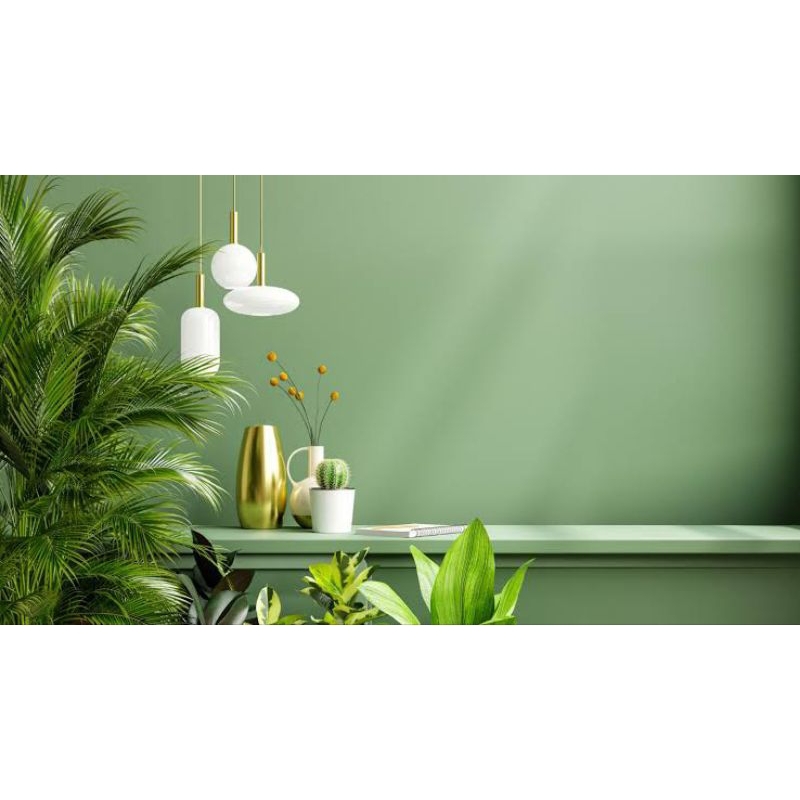 cat tembok kiloan 1kg warna hijau sage exterior interior