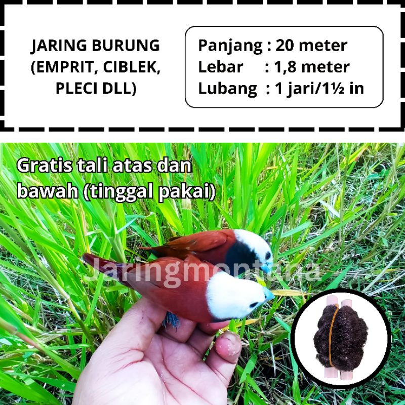 JARING BURUNG EMPRIT SAWAH JARING BURUNG SIAP PAKAI JARING BURUNG EMPRIT LUBANG 1 JARI JARING
