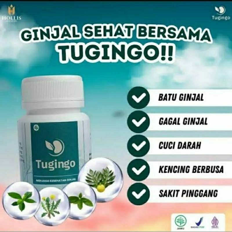 Tugingo Obat Herbal Batu Ginjal Tugingo 30 Kapsul Original BPOM